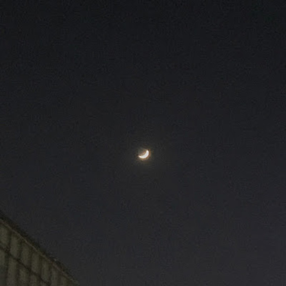 Meet your Posher, Krystal - Picture 1 of 1